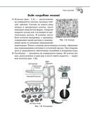 Справочник по биологии для 5-9 классов — фото, картинка — 19