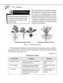 Справочник по биологии для 5-9 классов — фото, картинка — 24