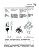Справочник по биологии для 5-9 классов — фото, картинка — 27
