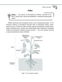 Справочник по биологии для 5-9 классов — фото, картинка — 29