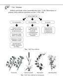 Справочник по биологии для 5-9 классов — фото, картинка — 30