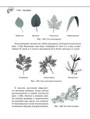 Справочник по биологии для 5-9 классов — фото, картинка — 34