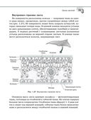 Справочник по биологии для 5-9 классов — фото, картинка — 35