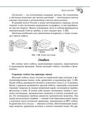 Справочник по биологии для 5-9 классов — фото, картинка — 37