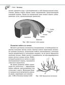 Справочник по биологии для 5-9 классов — фото, картинка — 38