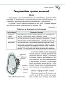Справочник по биологии для 5-9 классов — фото, картинка — 43