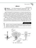 Справочник по биологии для 5-9 классов — фото, картинка — 45