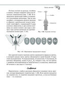 Справочник по биологии для 5-9 классов — фото, картинка — 47