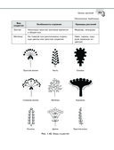 Справочник по биологии для 5-9 классов — фото, картинка — 49