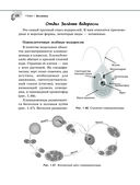 Справочник по биологии для 5-9 классов — фото, картинка — 58