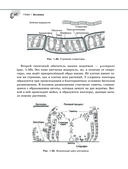 Справочник по биологии для 5-9 классов — фото, картинка — 60