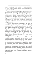 The Sea-Wolf — фото, картинка — 4