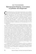 История центральной Европы — фото, картинка — 9