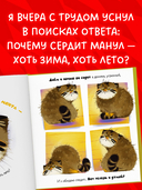 Почему сердит манул? — фото, картинка — 2