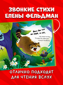 Почему сердит манул? — фото, картинка — 3