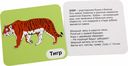 Лесные звери. 12 развивающих карточек с красочными картинками, стихами и загадками — фото, картинка — 4
