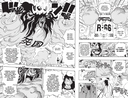 One Piece. Большой куш. Книга 24. Те, кого забыла Дрессроза — фото, картинка — 1