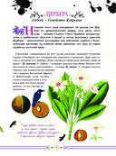 Опасные растения. От ядовитых до аллергенных — фото, картинка — 11