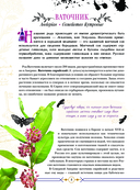 Опасные растения. От ядовитых до аллергенных — фото, картинка — 8