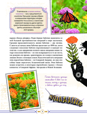 Опасные растения. От ядовитых до аллергенных — фото, картинка — 9