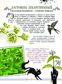 Опасные растения. От ядовитых до аллергенных — фото, картинка — 10