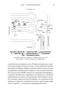 Черный ящик Дарвина. Биохимический вызов теории эволюции — фото, картинка — 28