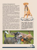 Большая энциклопедия. Собаки — фото, картинка — 12
