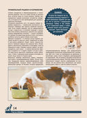 Большая энциклопедия. Собаки — фото, картинка — 13