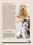 Большая энциклопедия. Собаки — фото, картинка — 14