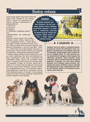 Большая энциклопедия. Собаки — фото, картинка — 6
