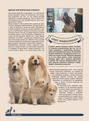 Большая энциклопедия. Собаки — фото, картинка — 7