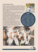 Большая энциклопедия. Собаки — фото, картинка — 10