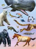 Красная книга планеты для детей. Редкие и исчезающие виды дикой природы — фото, картинка — 2