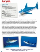 Лепим из пластилина акулу, осьминога и рыбу-клоуна — фото, картинка — 3
