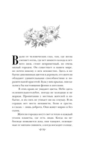 Прачечная души Мэриголд — фото, картинка — 3