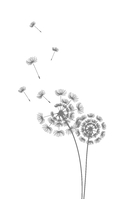 Голос Арчера — фото, картинка — 2