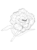 Цветочные истории. Рисуем по точкам — фото, картинка — 2