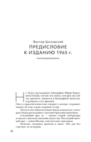 Ни дня без строчки. Рассказы, воспоминания, статьи — фото, картинка — 5
