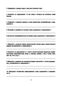 Русский язык. Проверочные работы для тематического и итогового контроля. 11 класс — фото, картинка — 3