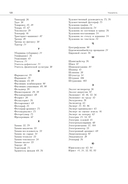 Воспитание через минутки чистописания. Панорама профессий. Методические рекомендации для учителей начальных классов — фото, картинка — 13