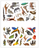 В Африке — фото, картинка — 1