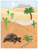 В Африке — фото, картинка — 2