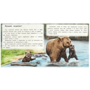 Хитрый Лис и Умная Уточка — фото, картинка — 2