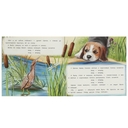 Хитрый Лис и Умная Уточка — фото, картинка — 3