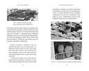 Признания египтолога: утраченные библиотеки, исчезнувшие лабиринты и неожиданная правда под сводами пирамид в Саккаре — фото, картинка — 4