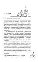 Хрустальная туфелька 43-го размера — фото, картинка — 5