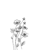 Большая книга богатства и счастья — фото, картинка — 7