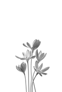 Из Лондона с любовью. Комплект из 2 книг — фото, картинка — 2