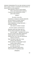 Западный флигель, где Цуй Ин-ин ожидала луну — фото, картинка — 11