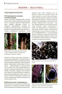 Болезни и вредители плодовых растений — фото, картинка — 2